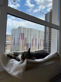 Віконна лежанка для кішок підвісна