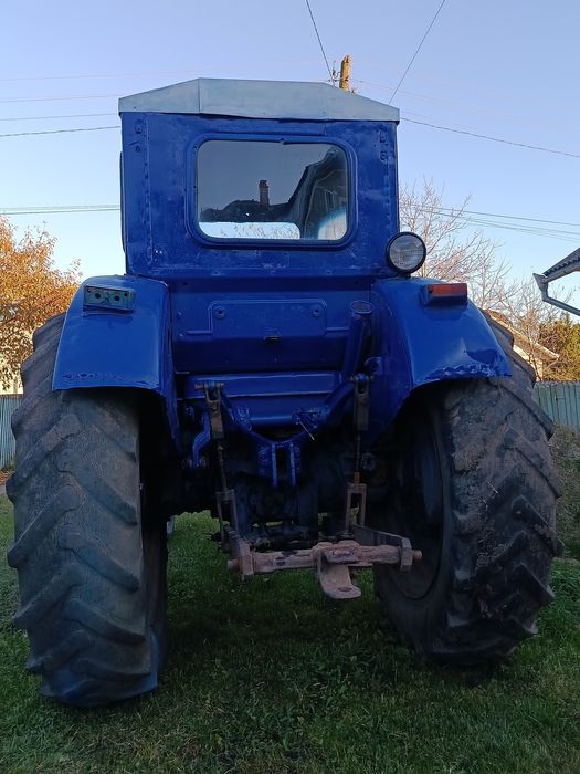 Продам робочого коника