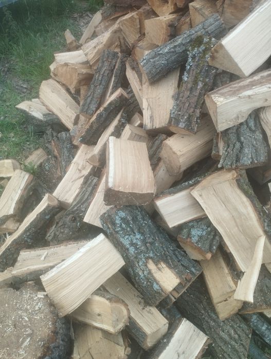 Дубові, Береза або Вільха