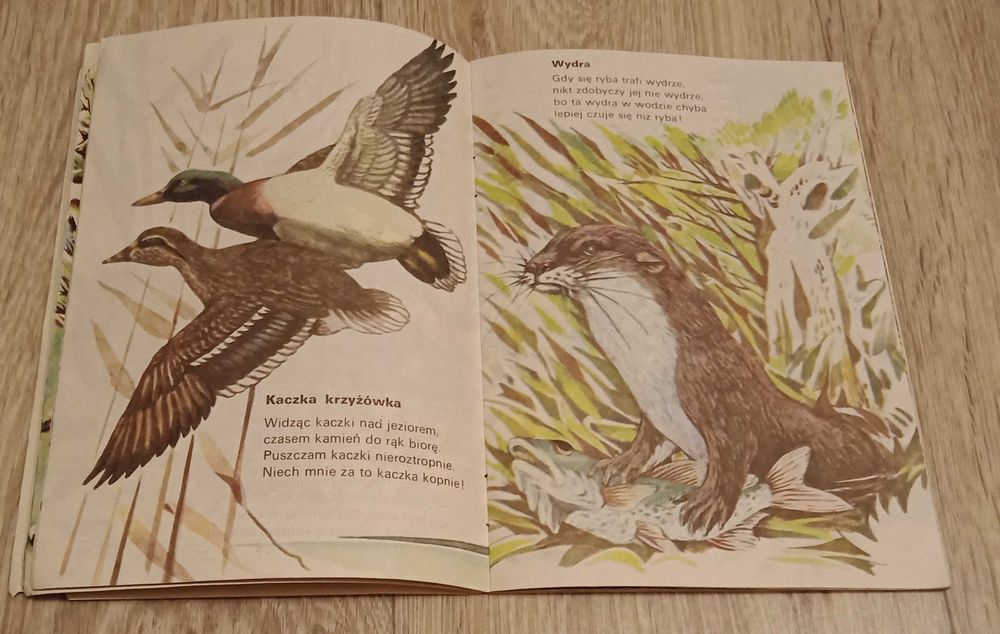 Co pełza i hasa po polach i lasach? Lech Konopiński S. Mrowiński