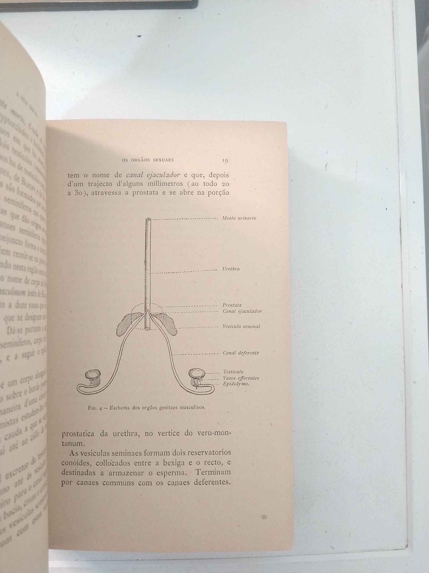 Livro A Vida sexual Physiologia l