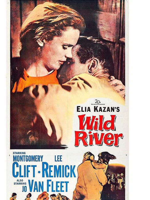Cinema Autor Elia Kazan DVD Wild River 1966