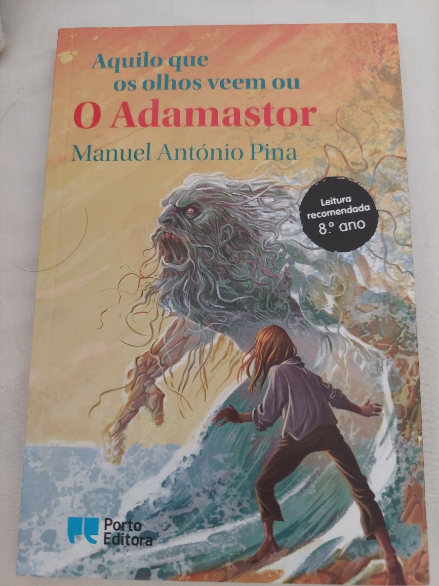 Aquilo que os olhos veem ou  o Adamastor