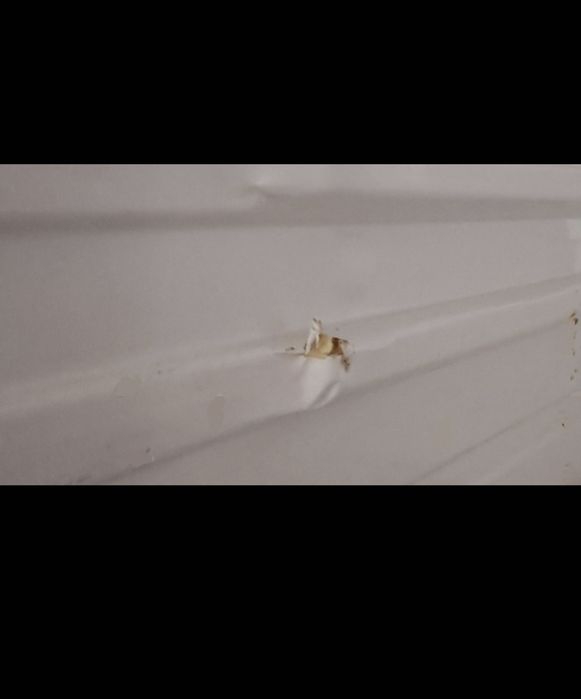 Lodówka Samsung z dozownikiem