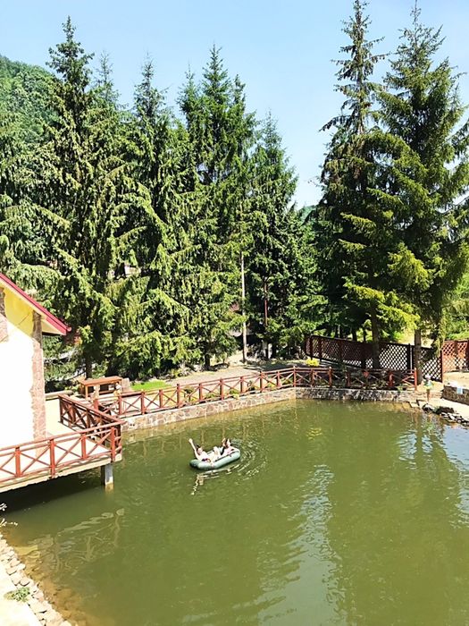 Новий рік Різдво Подобово в ШАЯН БАНЯ будинок Закарпатье Карпаты