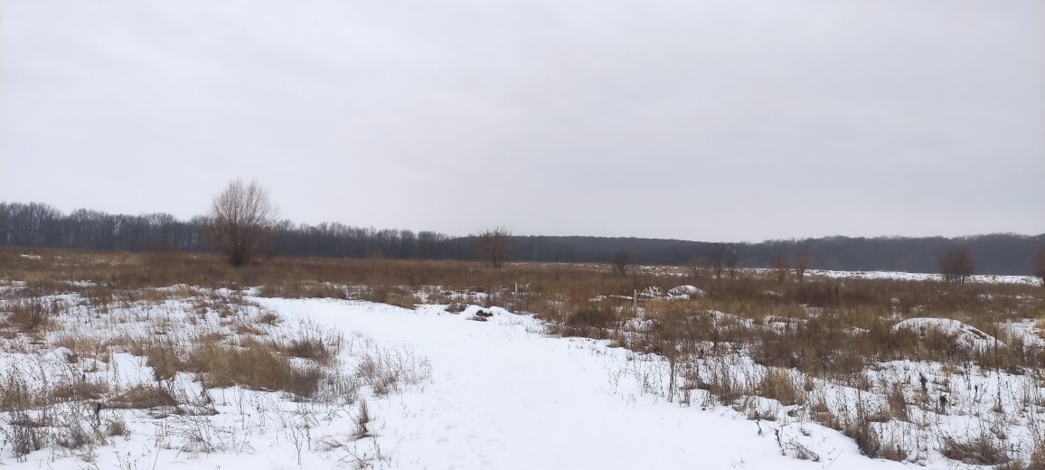 Земельна ділянка коло Тропіканки, коло лісу та озера