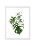 Obraz, plakat do salonu, monstera, natura ramka