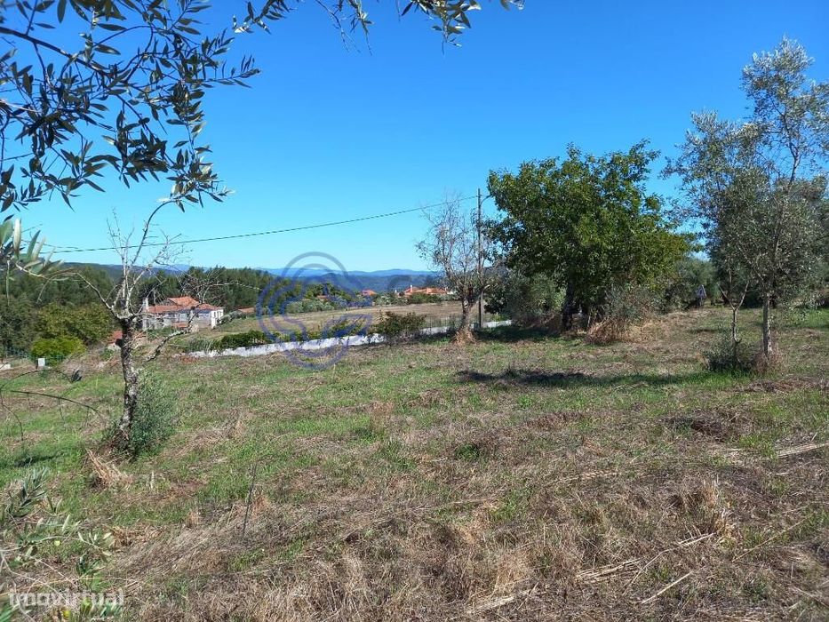 Terreno para construção com 760 m2 a 5 minutos da Aldeia de Dornes no