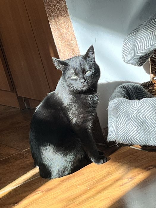 Темінь шукає дім