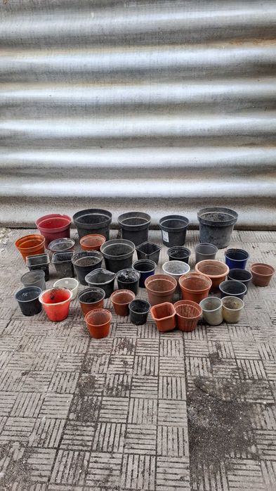 Продам горшки под рассаду или на укоренение