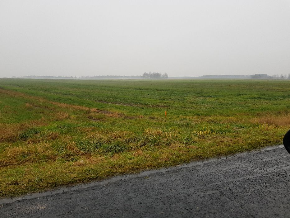 Grunt, pole orne, łąka, 2.5h, okolice Grodkowa(Opolskie)