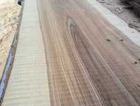 Monolity jesionowe szer. 30-80 cm suche 8-letnie na blaty, gr 80 mm