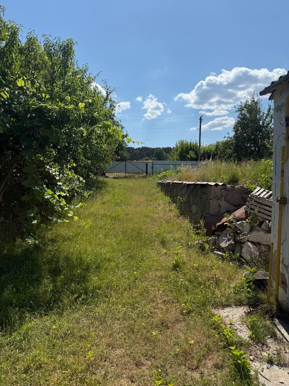 Житловий будинок біля річки Рось і соснового лісу, с. Розкопанці