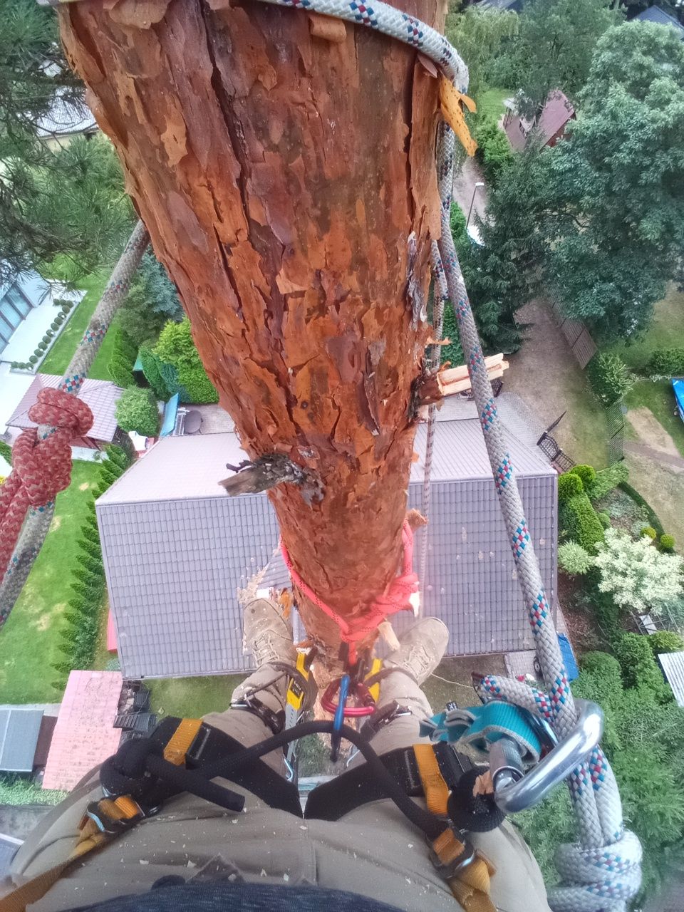 Wycinka drzew drwal arborysta ściąganie dronów itp
