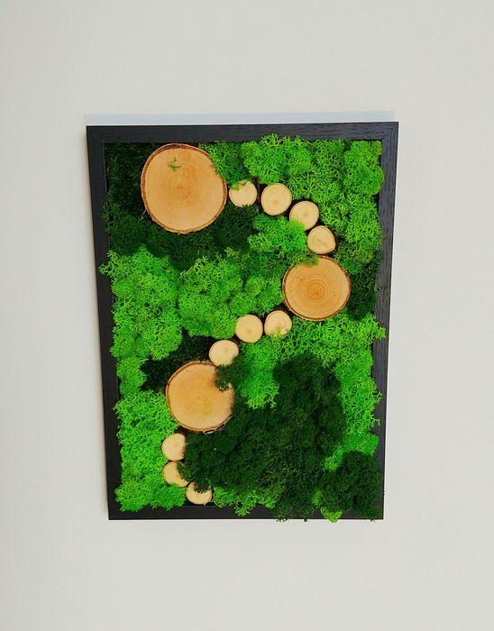 obrazy z mchu stabilizowanego mech chrobotek mech poduszkowy płaski