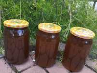 Miód naturalny wiosenny 0,9l