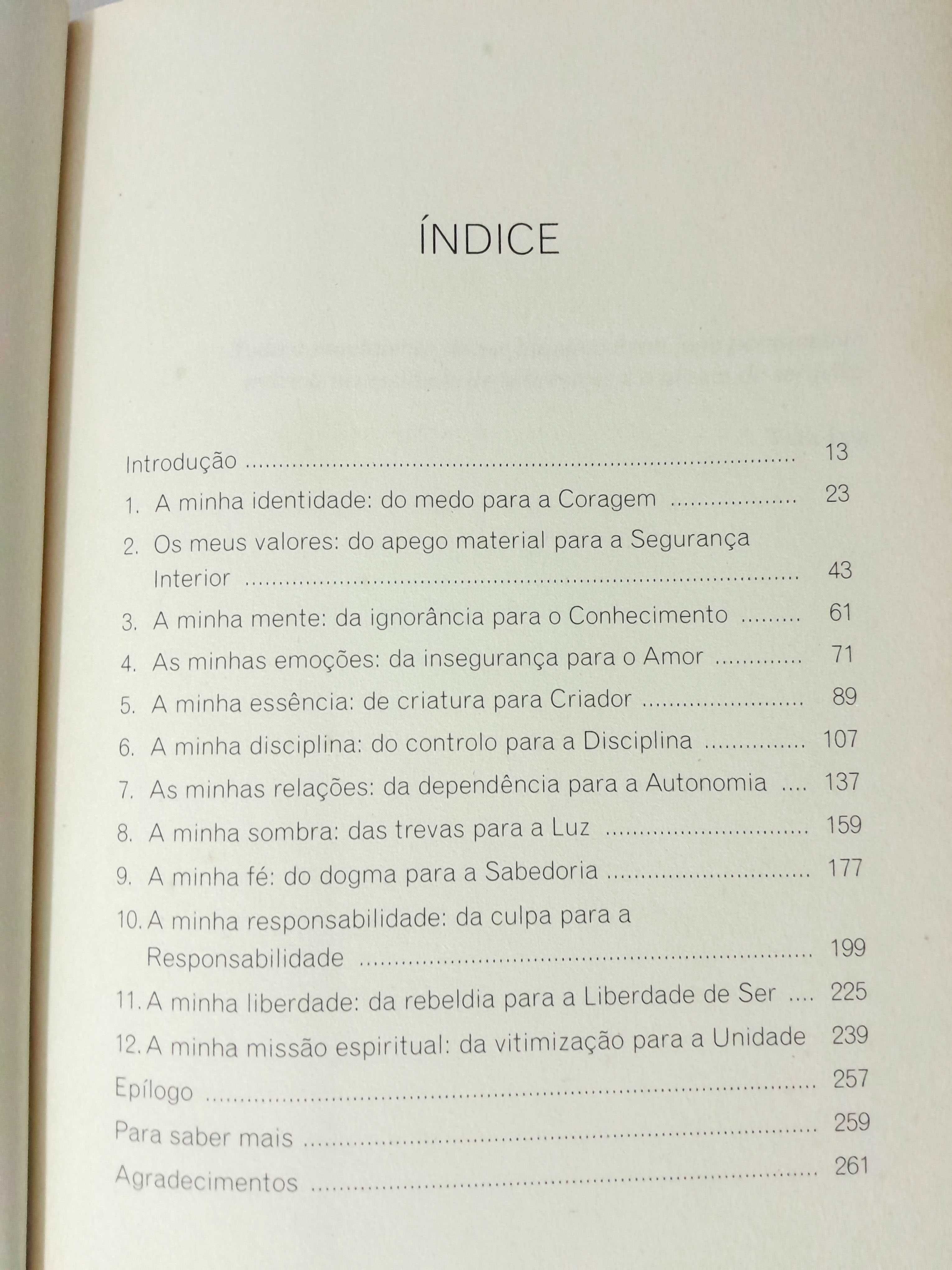 Livro: Acorda o teu Poder Interior - Vera Luz (1ª Edição)