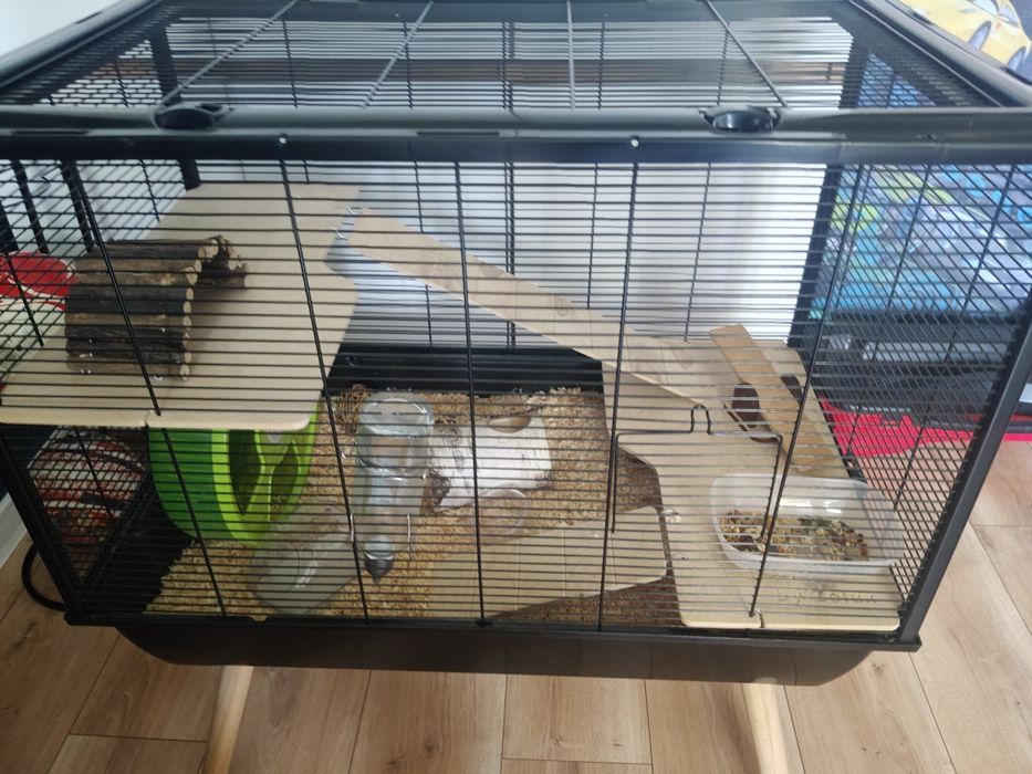 Klatka dla chomika pełne wyposażenie