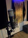Townsend Labs L22 | Universal Audio Micro