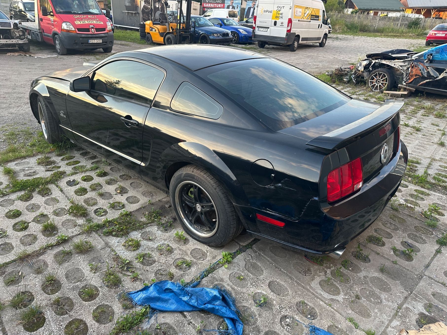 Ford Mustang Manual
