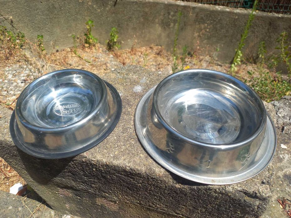 Comedouro e Bebedouro para Cão