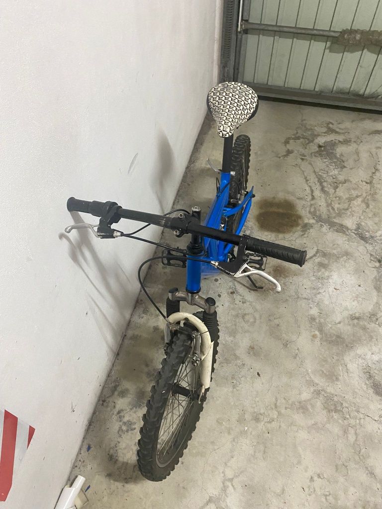 Bicicleta para criança roda 20 Polegadas