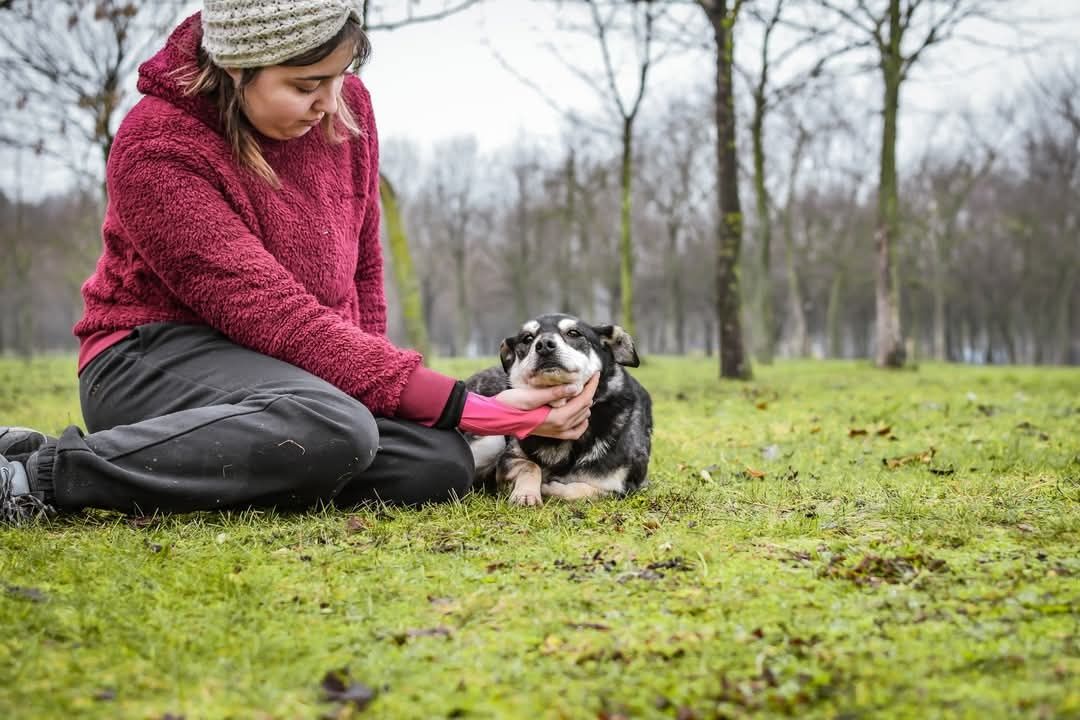 Miała tylko 3 miesiące jak trafiła do schroniska.. Od tylu lat czeka..