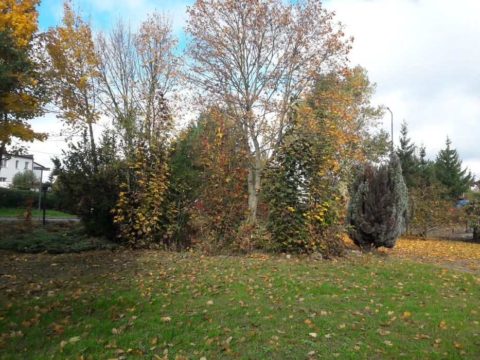 Sprzedam firmę/warsztat - dobra lokalizacja