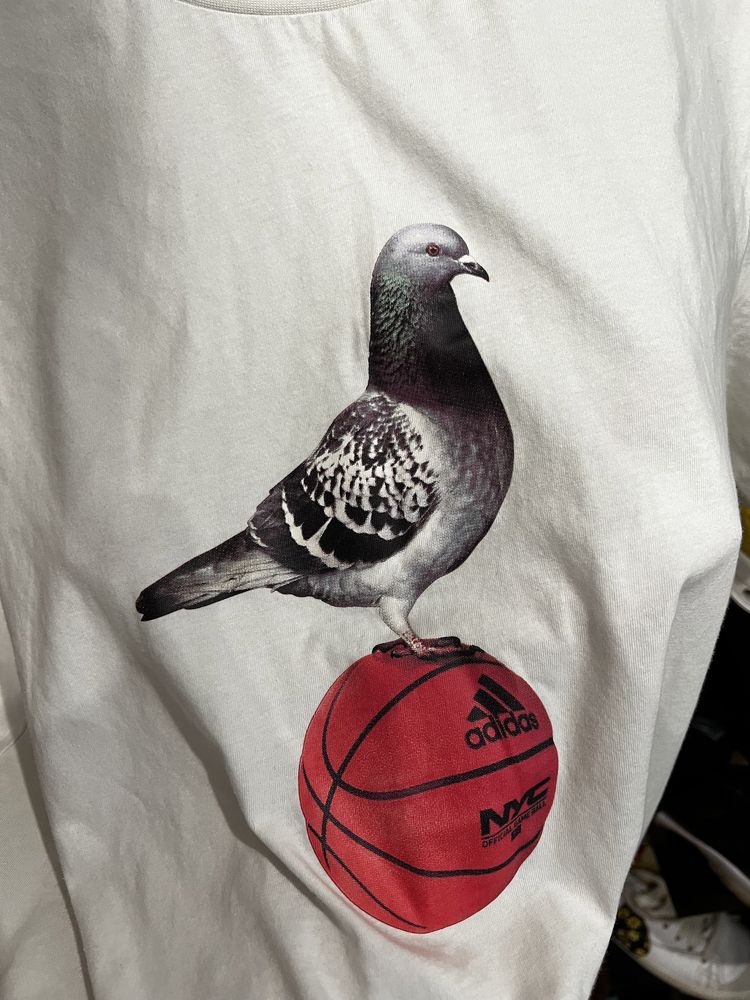 Adidas pigeon tee m(футболка адідас м)