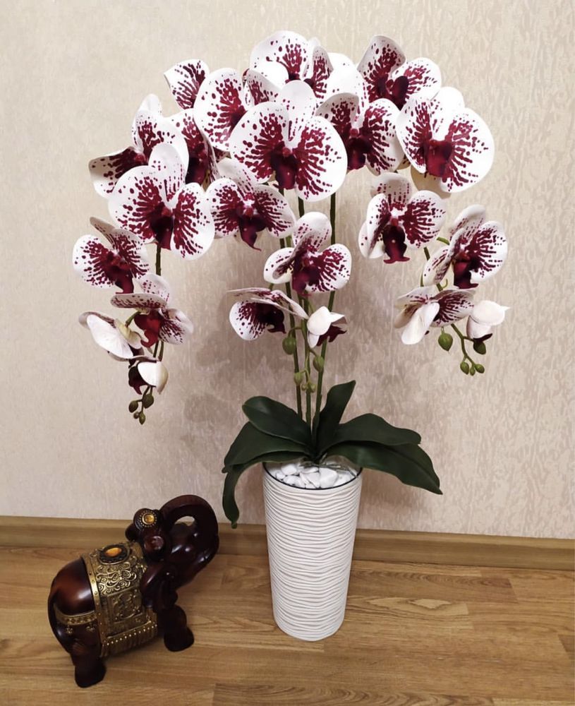 Орхідея латексна Vip  біло-пурпурова