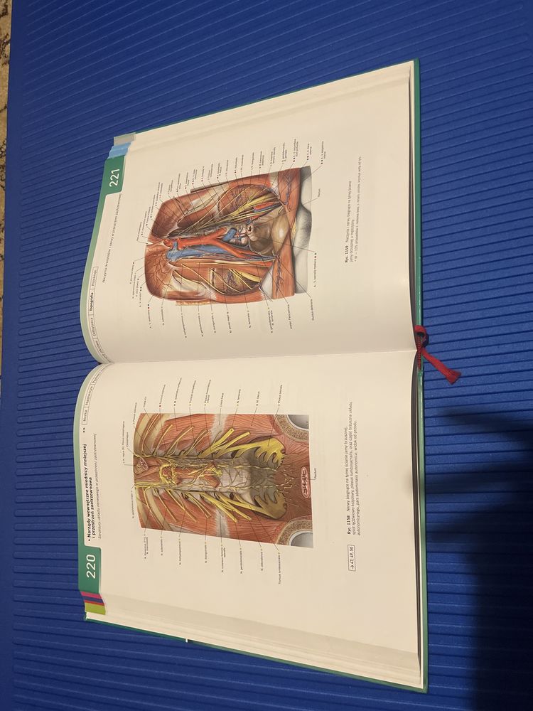 Atlas anatomii Sobotta cześć I i II