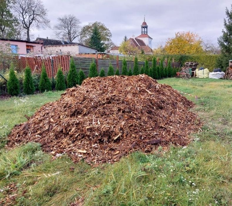 Kora sosnowa 10m3 + transport