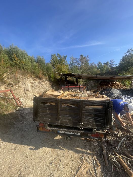 Lenha seca carvalho e eucalipto