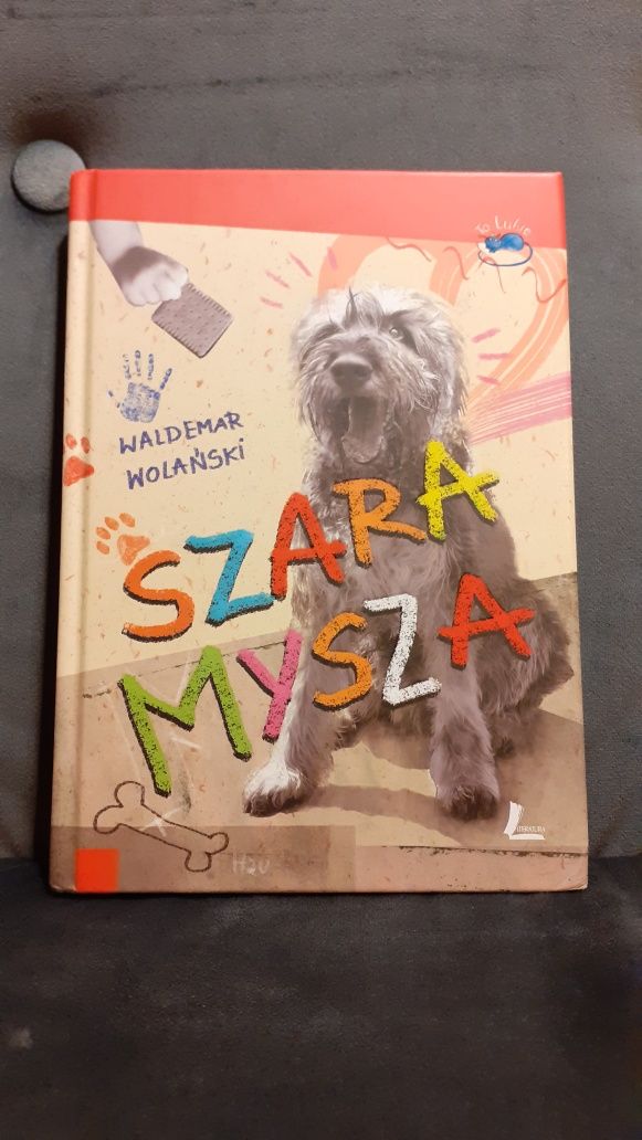 Książka szara mysza