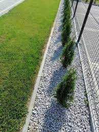 Grys biały granitowy w kropki Dalmatyńczyk frakcje 10-30mm, 20-55mm