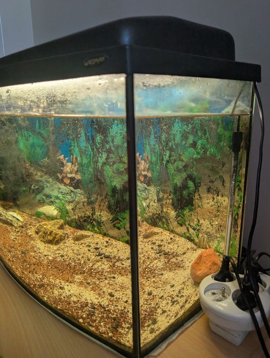 Akwarium 120l z wyposażeniem.