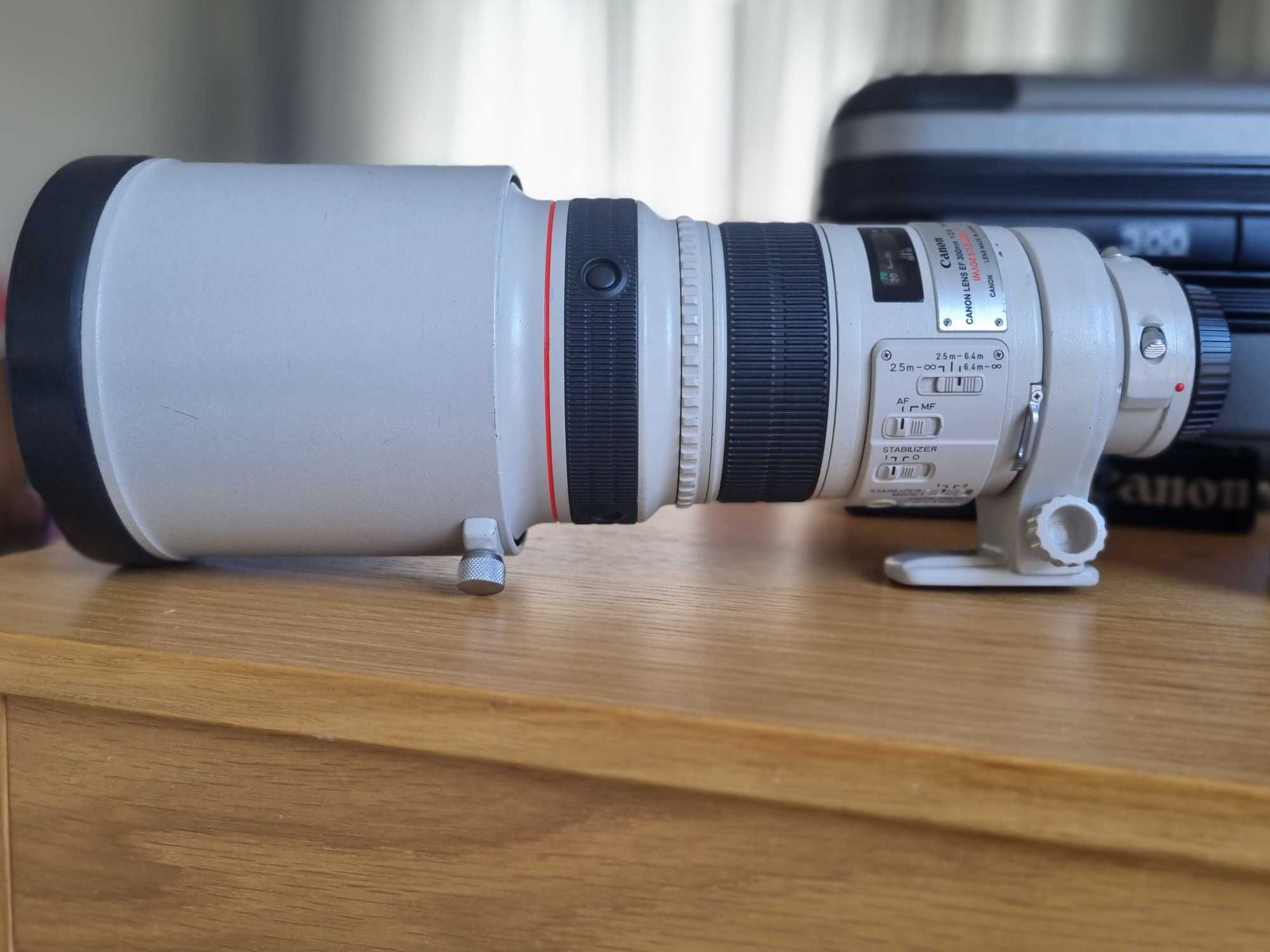 Canon EF 300mm f/2.8 IS USM