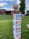 Pudełka na Gender Reveal