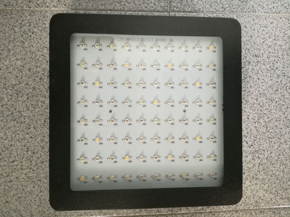 Led de floração e crescimento.