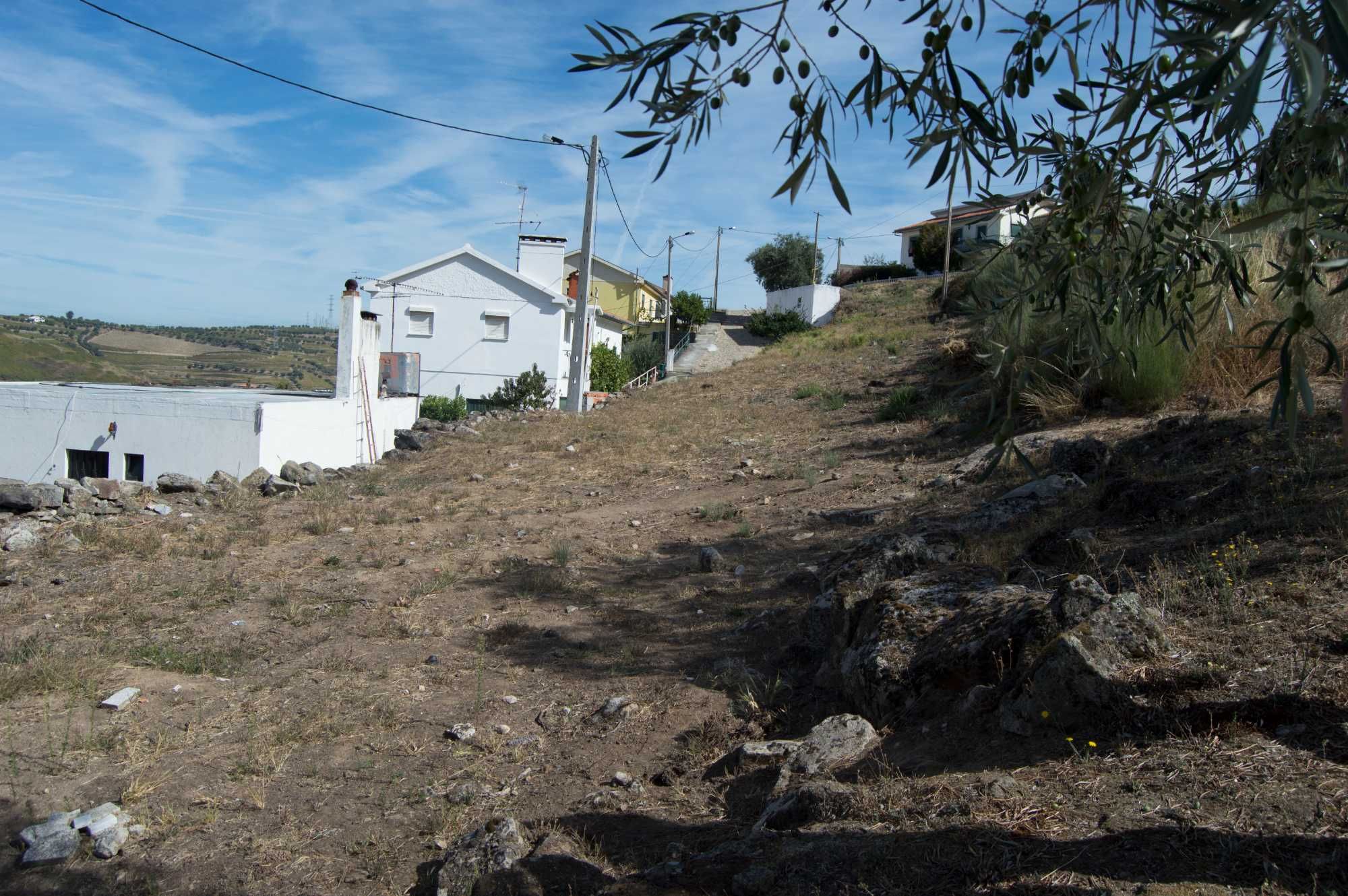 Terreno de vinha e construção (com benefício) frente de estrada