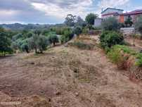 Terreno com viabilidade construtiva na Quinta da Silva, Penalva do Cas