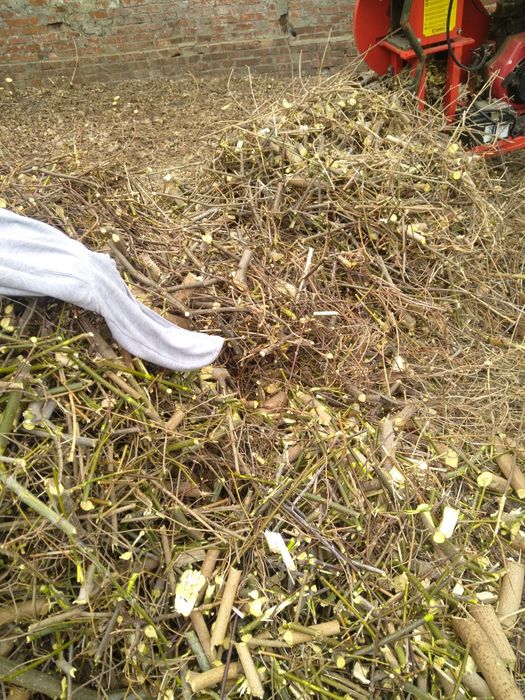 Дрова чурки попиляні 30-40 см,  дробленка, щепа брикети RUF