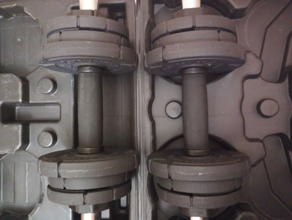 Гантели Energetics, 20 кг, в кейсе, метал, каждая по 10 кг