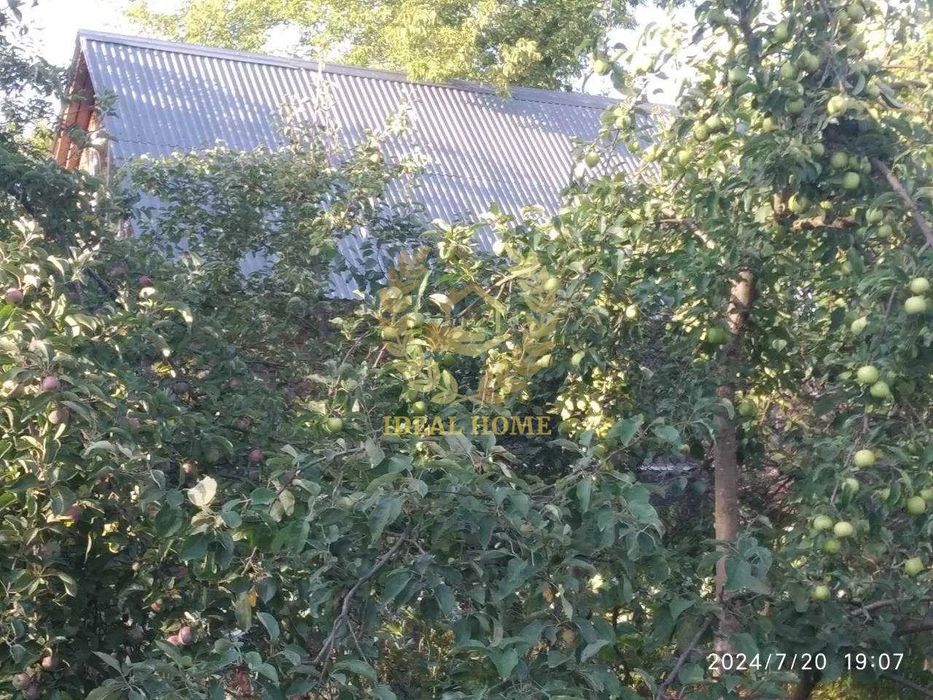 Продаж будинку с.Плесецьке