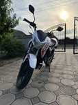 Geon pantera 200