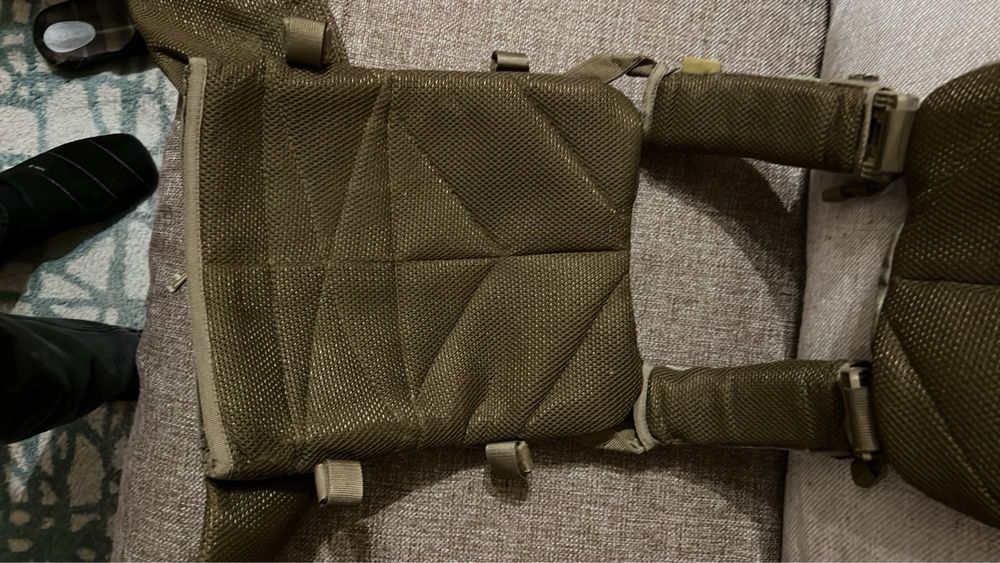 Плитоноска