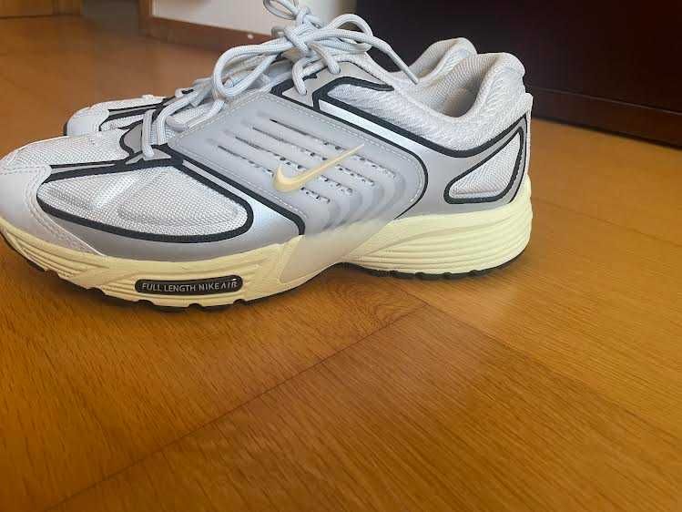 Sapatilhas Nike Air Pegasus