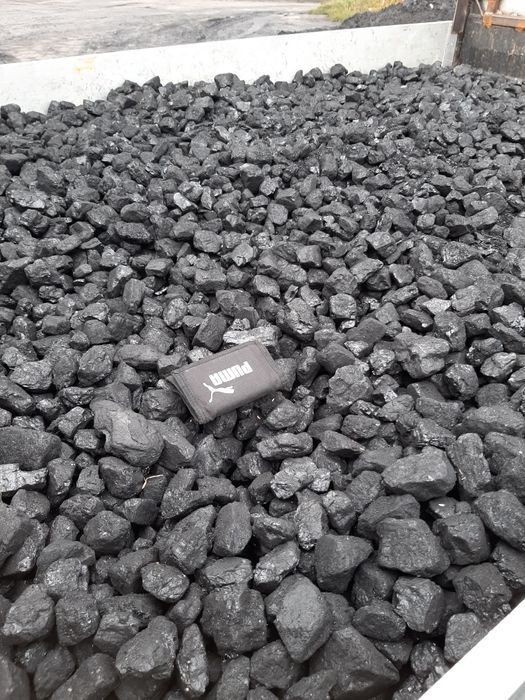 Polski Węgiel orzech