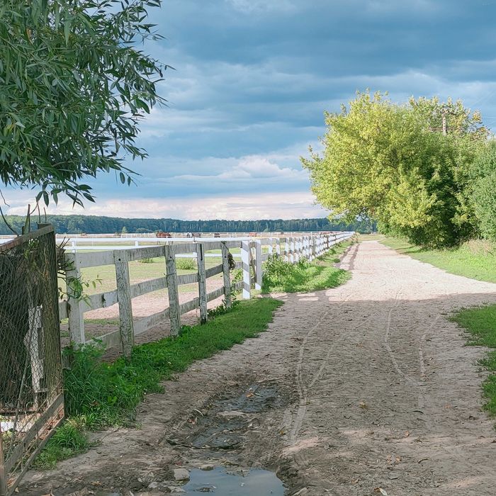 Wolne boksy Kampinos