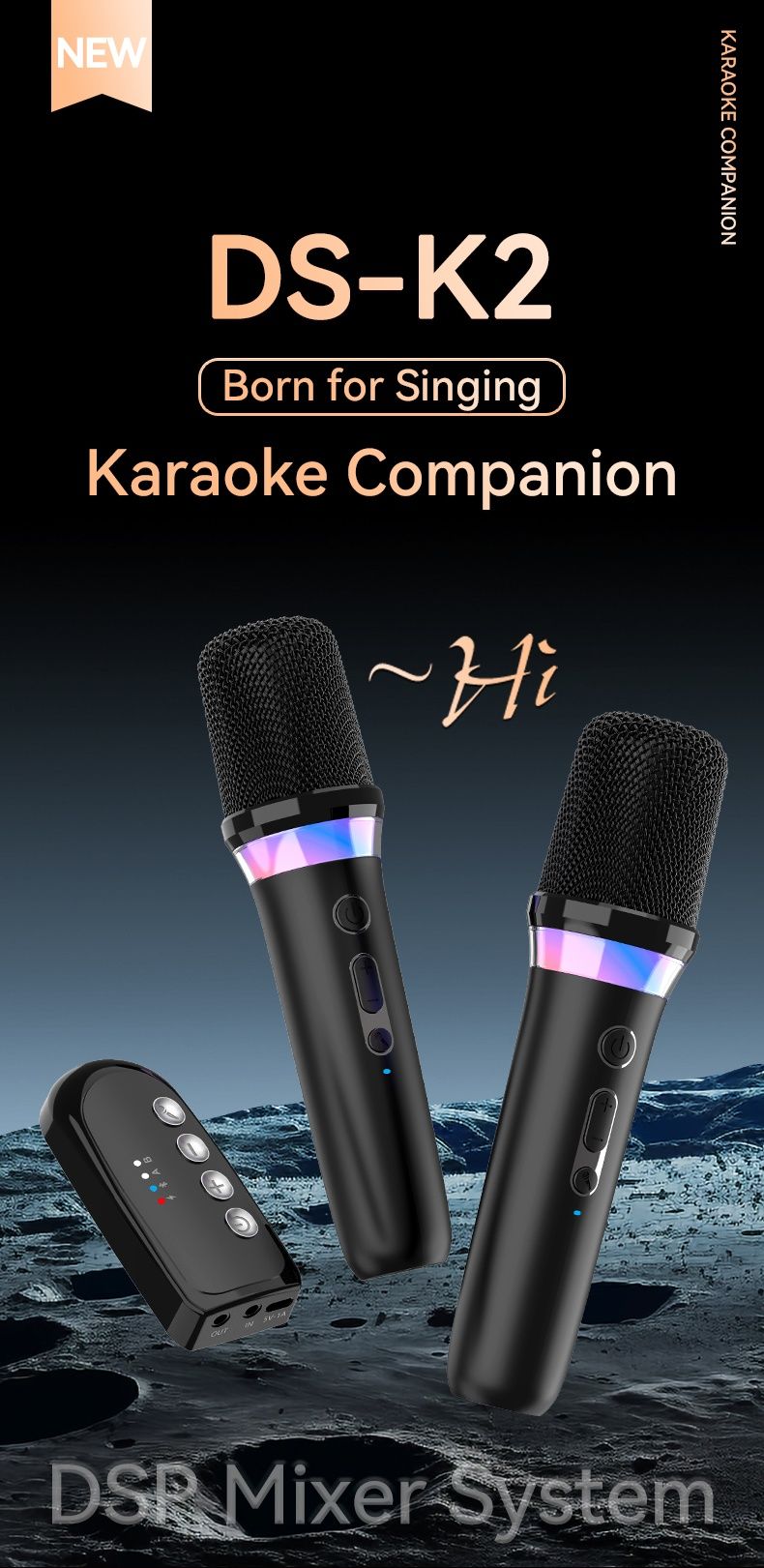 Караоке микрофоны DS-K2.